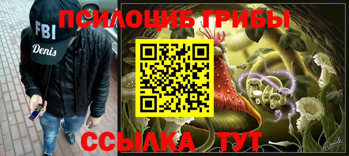 Гай  Галлюциногенные грибы Psilocybine cubensis  Псилоцибиновые грибы мухоморы  Вход с VPN 