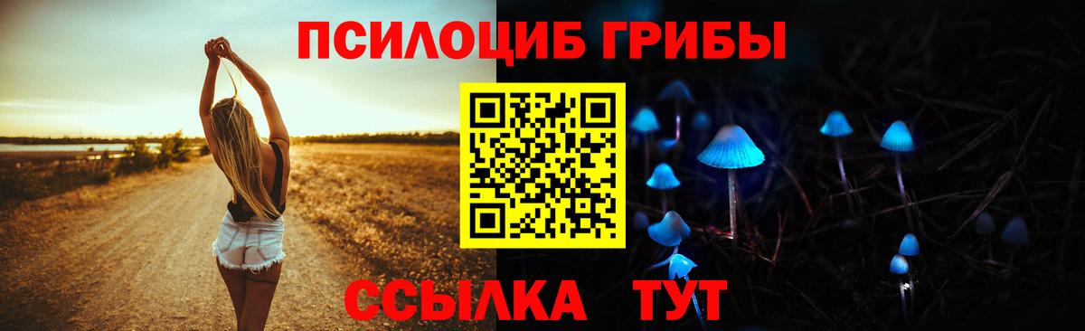 Галлюциногенные грибы GOLDEN TEACHER Гай